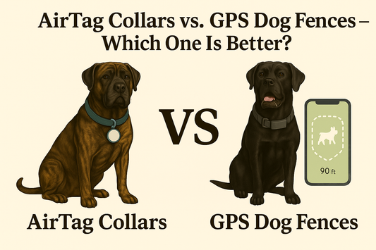AirTag Collars vs. GPS Dog Fences — Which One Is Better?
